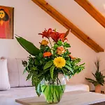 Apartments & Rooms Mara & Petrunjela